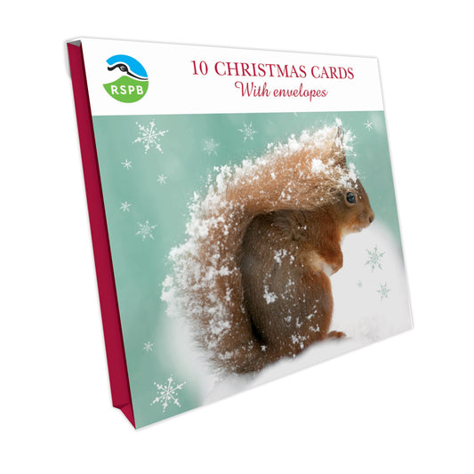 Squirrel In Snow - RSPB Small Square Christmas 10 Card Pack