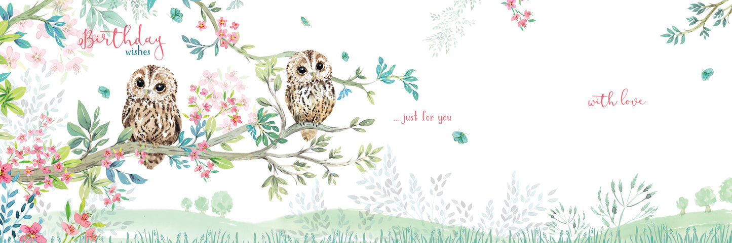 Wild & Serene Card Collection - Little Owl