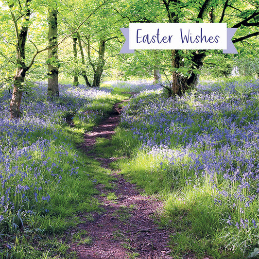 Easter 5 Card Pack - Bluebells