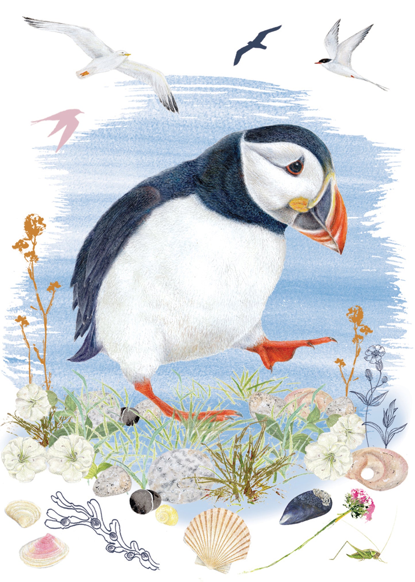 Mini Notecard Pack (6 Cards) - Puffin