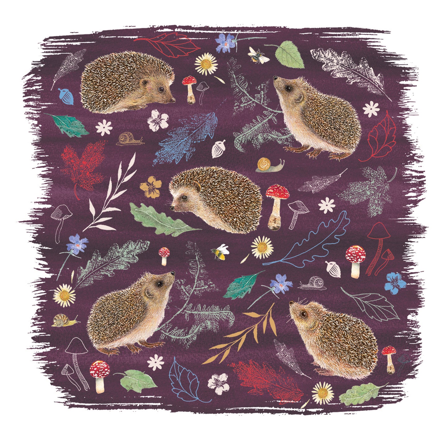 RSPB Beyond The Hedgerow Stationery - Square Notecard Pack (10 Cards) - Hedgehogs Leaves