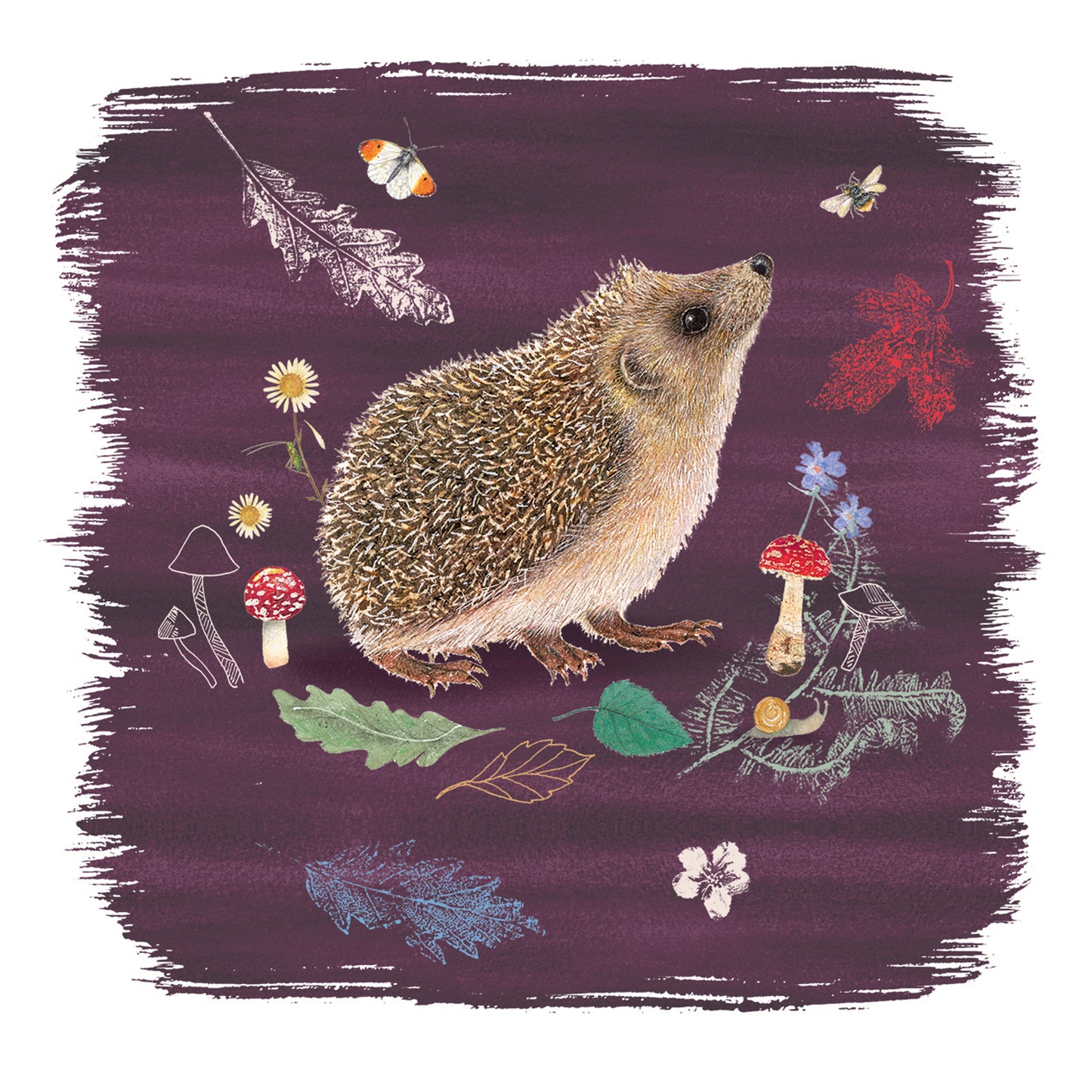 RSPB Beyond The Hedgerow Stationery - Square Notecard Pack (10 Cards) - Hedgehogs Leaves