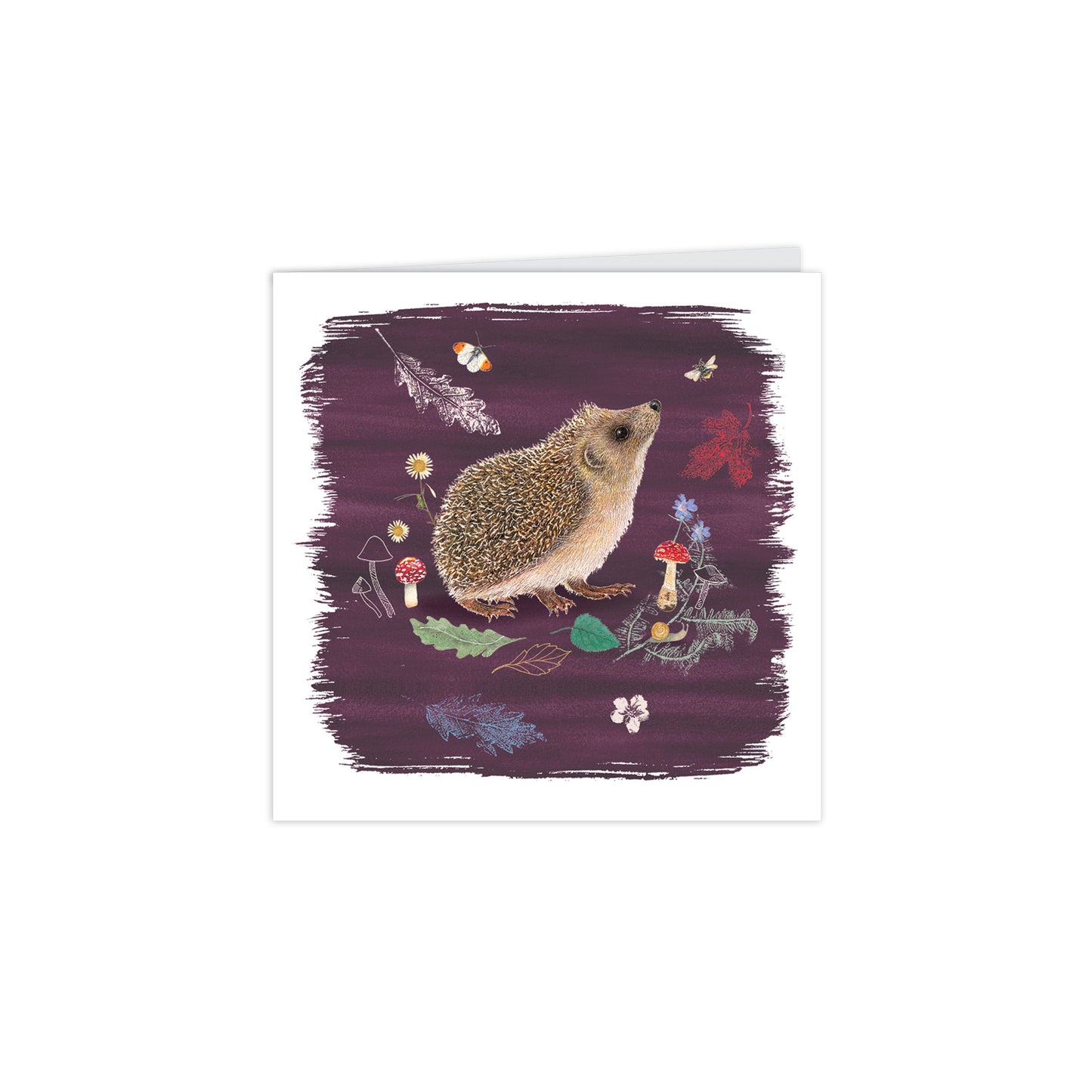 RSPB Beyond The Hedgerow Stationery - Square Notecard Pack (10 Cards) - Hedgehogs Leaves