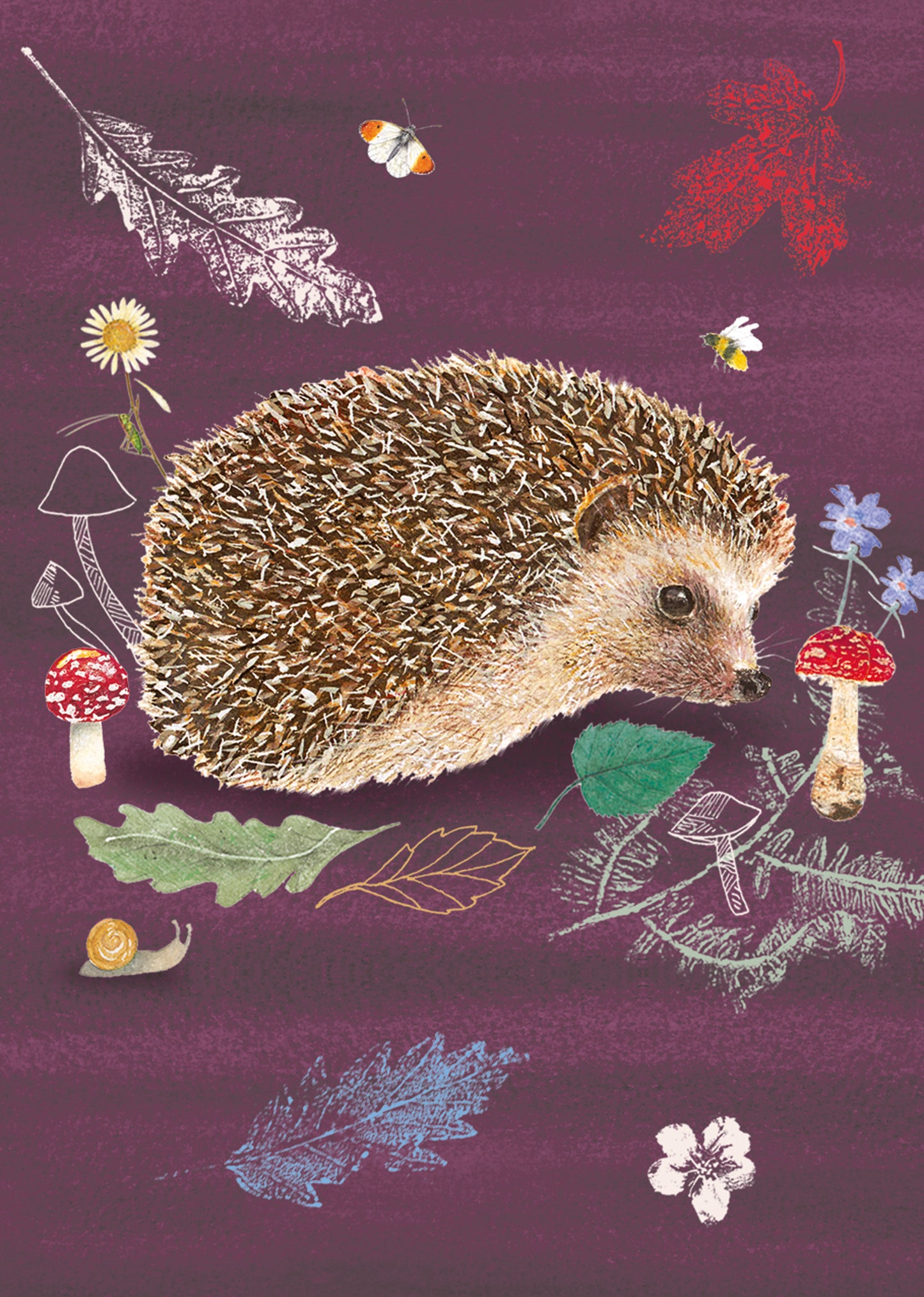 RSPB Beyond The Hedgerow Stationery - Mini Notecard Pack (6 Cards) - Peeping Hedgehog