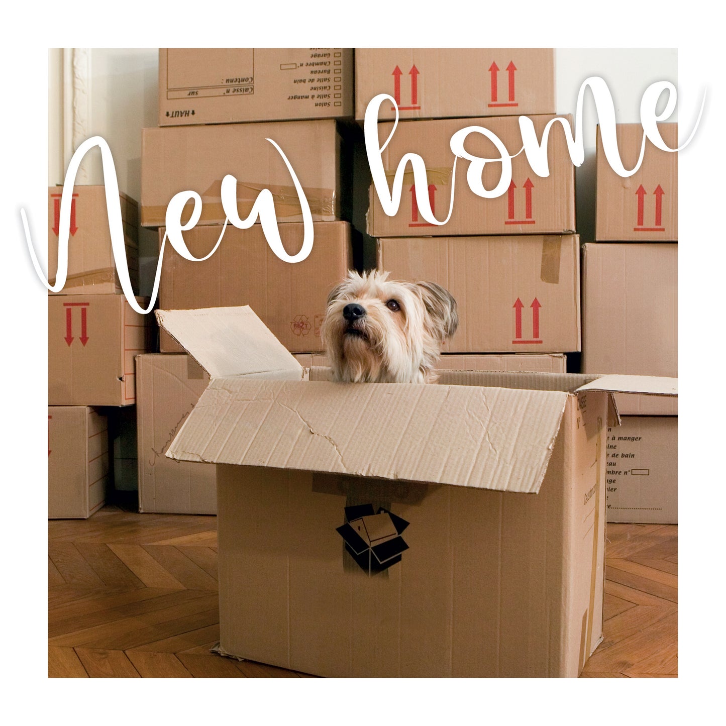 New Home Card - Boxes