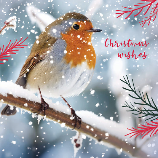 Charity Christmas Card Pack - Christmas Visitor