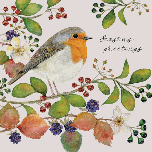 Charity Christmas Card Pack - Christmas Robin