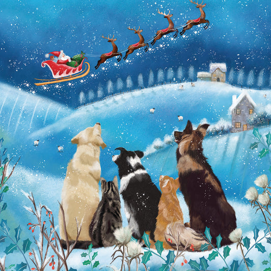 Charity Christmas Card Pack - Santa's Journey