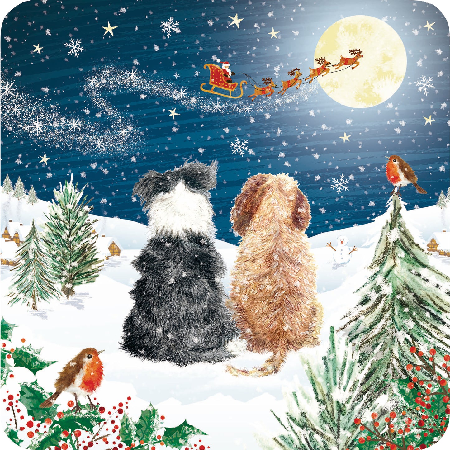 Luxury Christmas Card Pack - Watching by Moonlight