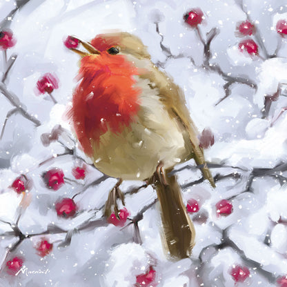 Assorted Christmas Cards - Hawthorn & Berry Robins