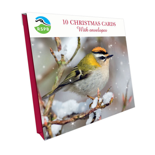 Snowy Firecrest - RSPB Small Square Christmas 10 Card Pack