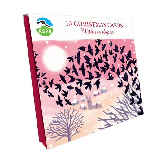 Starling Murmuration- RSPB Small Square Christmas 10 Card Pack