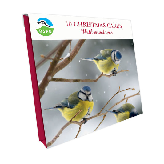 Blue Tits on Branches - RSPB Small Square Christmas 10 Card Pack