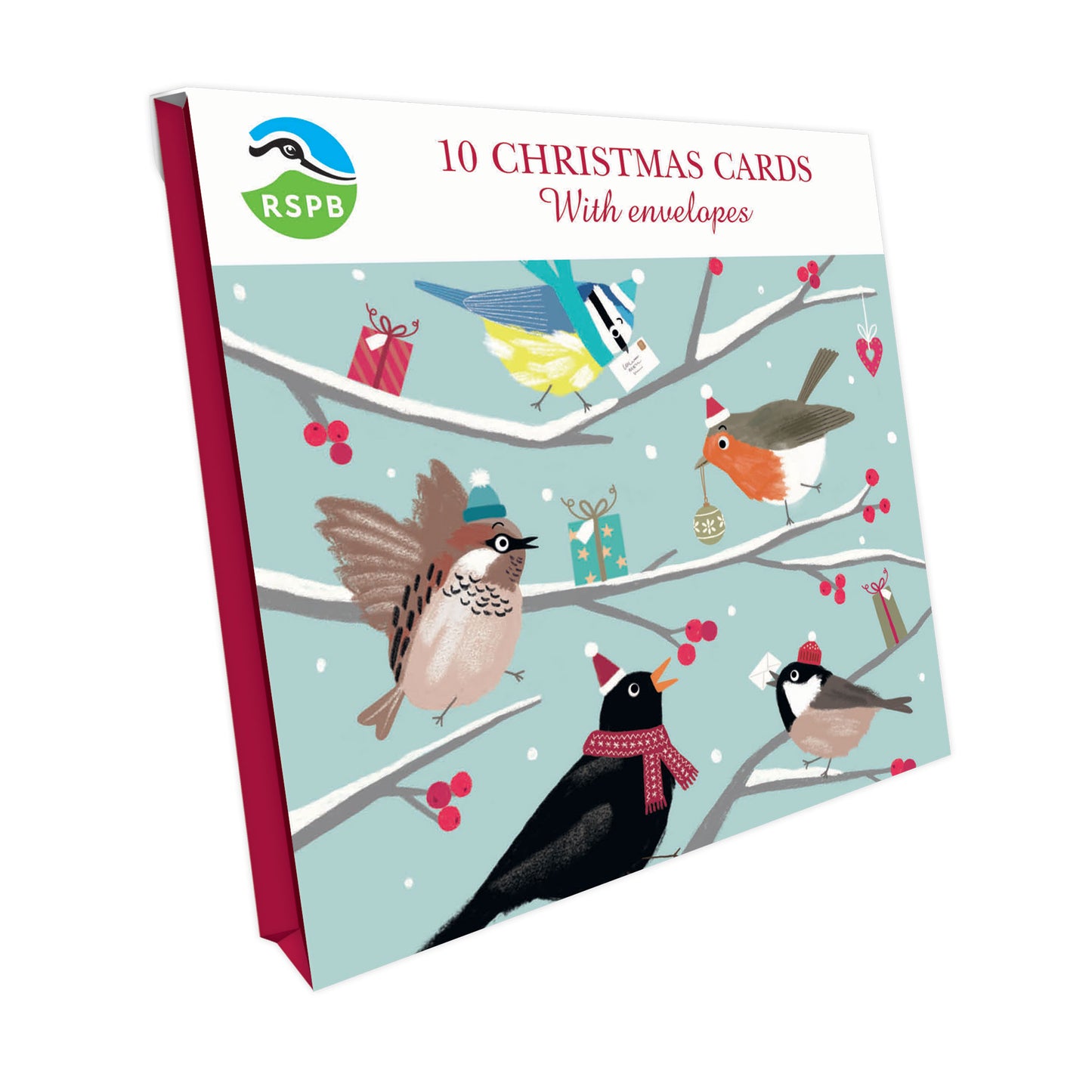 Cheery Festive Birds - RSPB Small Square Christmas 10 Card Pack