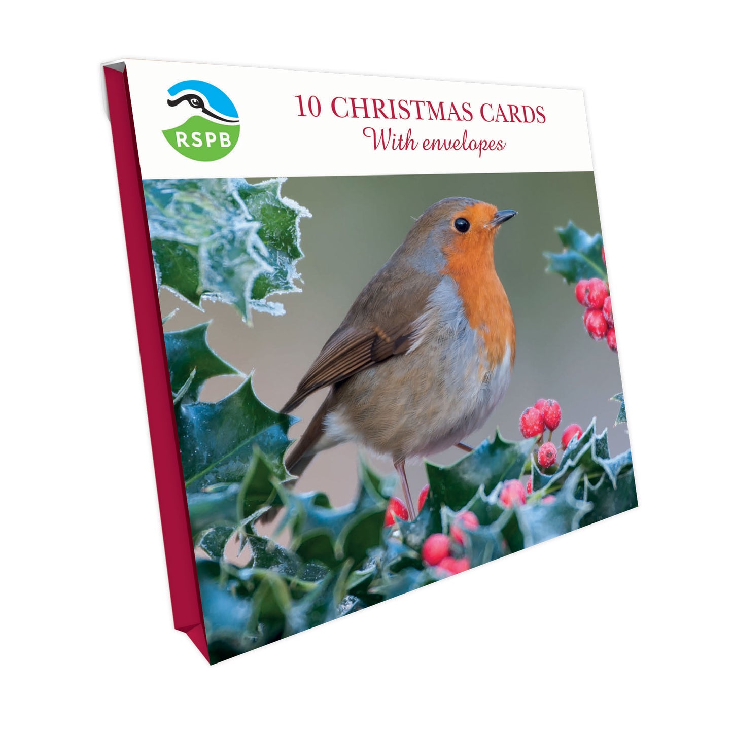 Chirpy Robin - RSPB Small Square Christmas 10 Card Pack