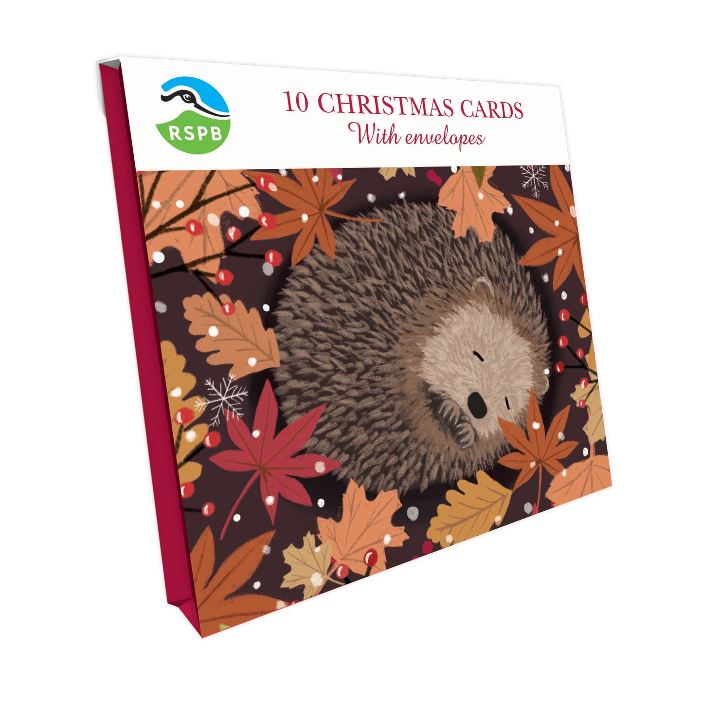 Sleeping Hedgehog - RSPB Small Square Christmas 10 Card Pack