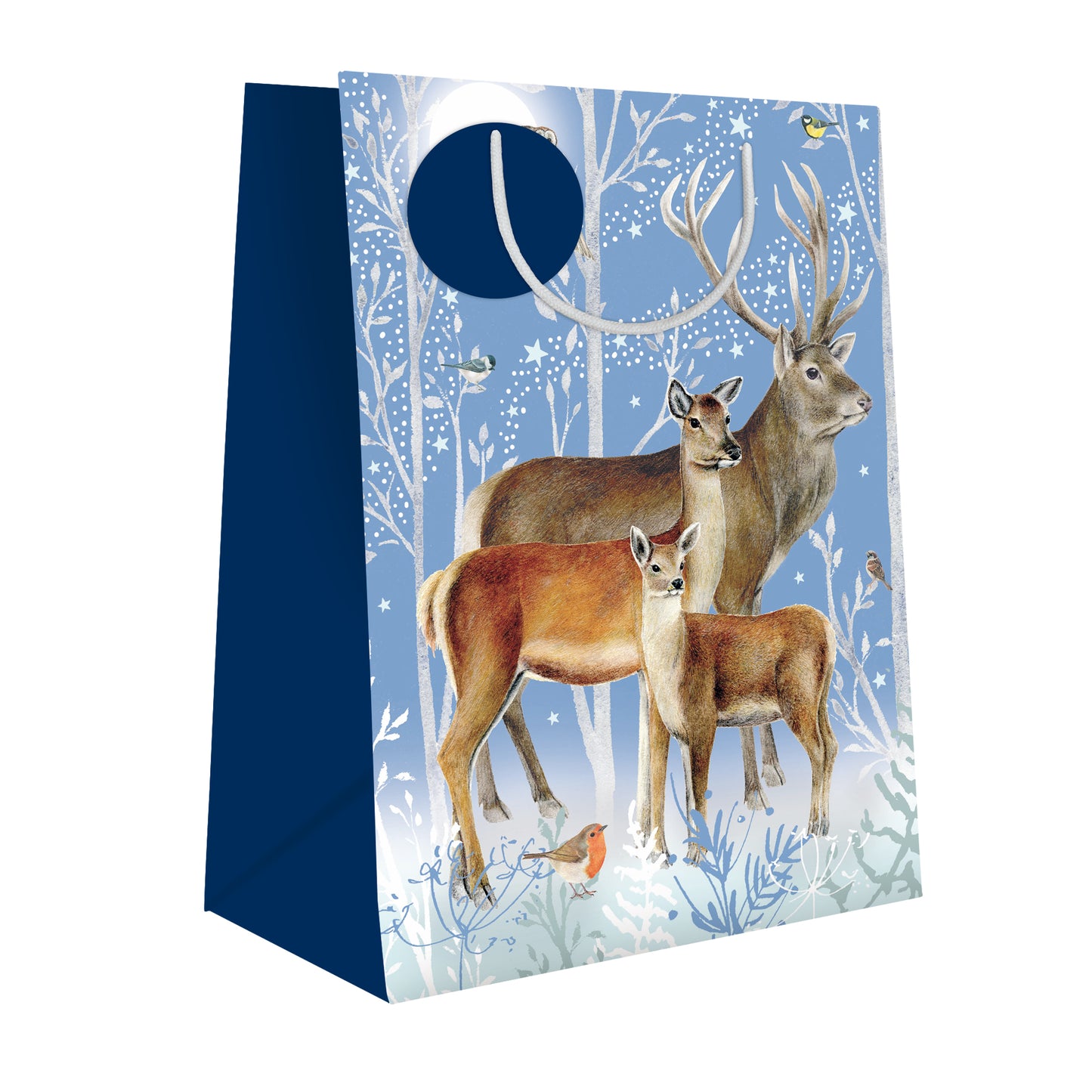 Xmas Gift Bag (Large) - Winter Visitors