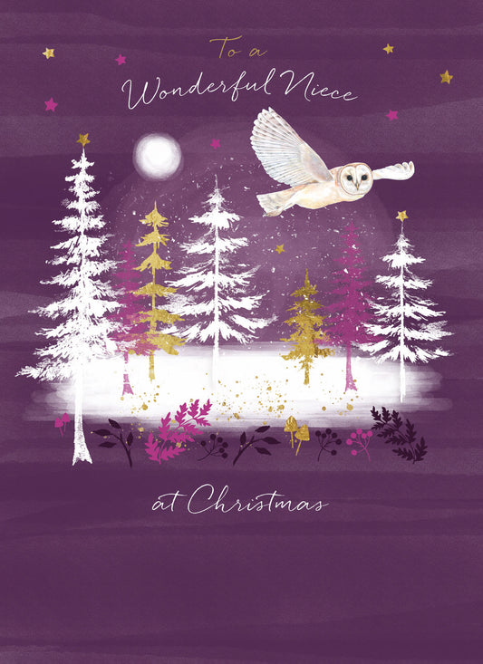 Christmas Card (Single) - Niece - Barn Owl Over Forest