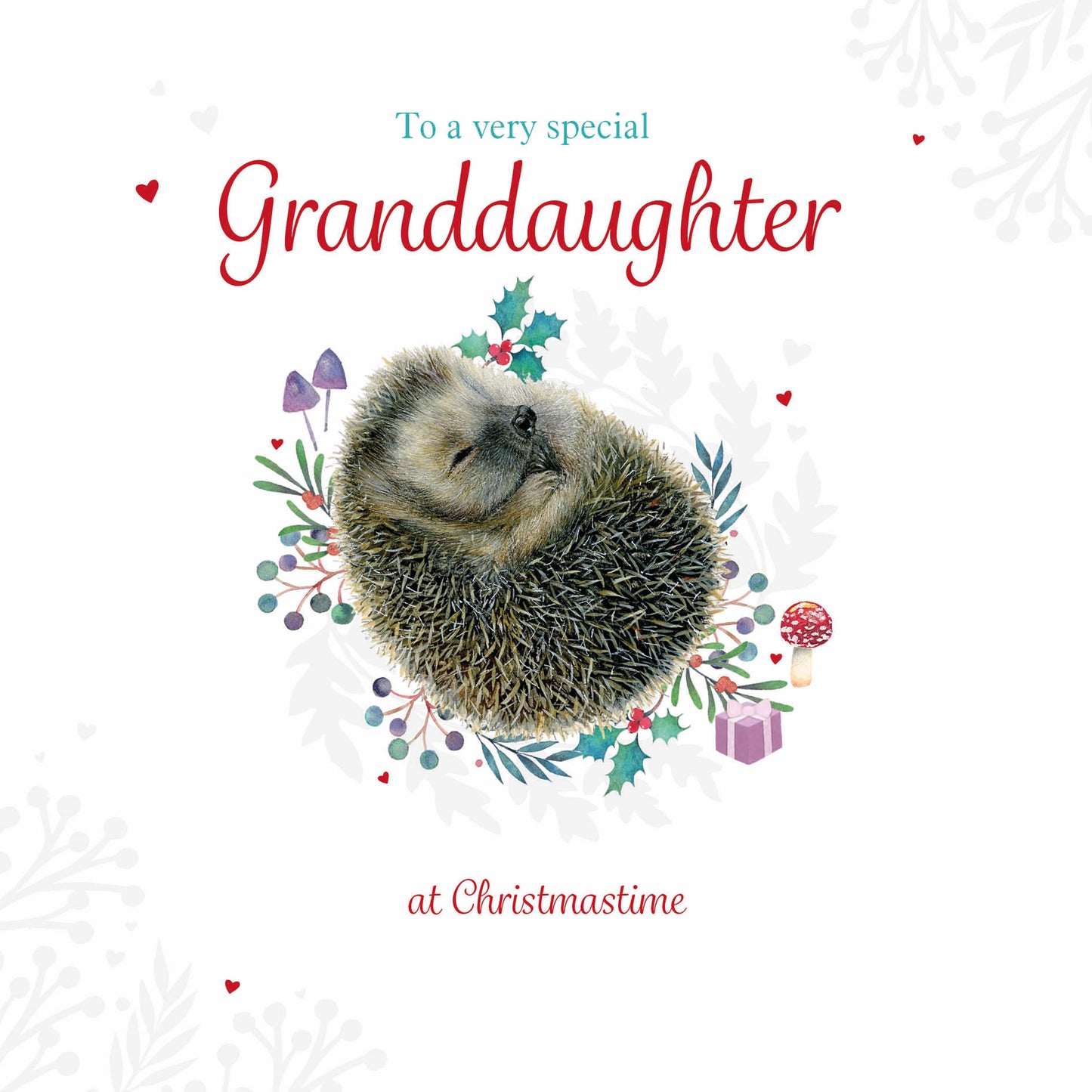 Christmas Card (Single) - Granddaughter - Sleeping Hedgehog