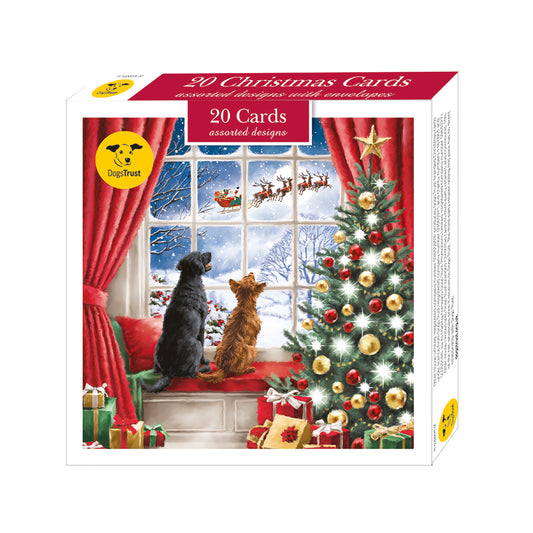 Assorted Christmas Cards - Dogs Trust