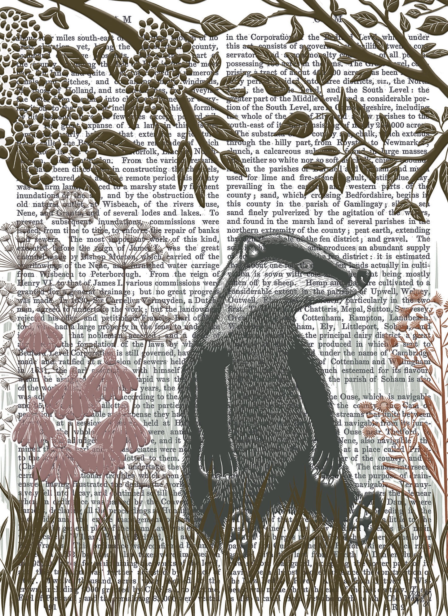 Fab Funky Card Collection - Country Lane - Badger