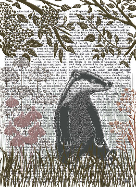 Fab Funky Card Collection - Country Lane - Badger