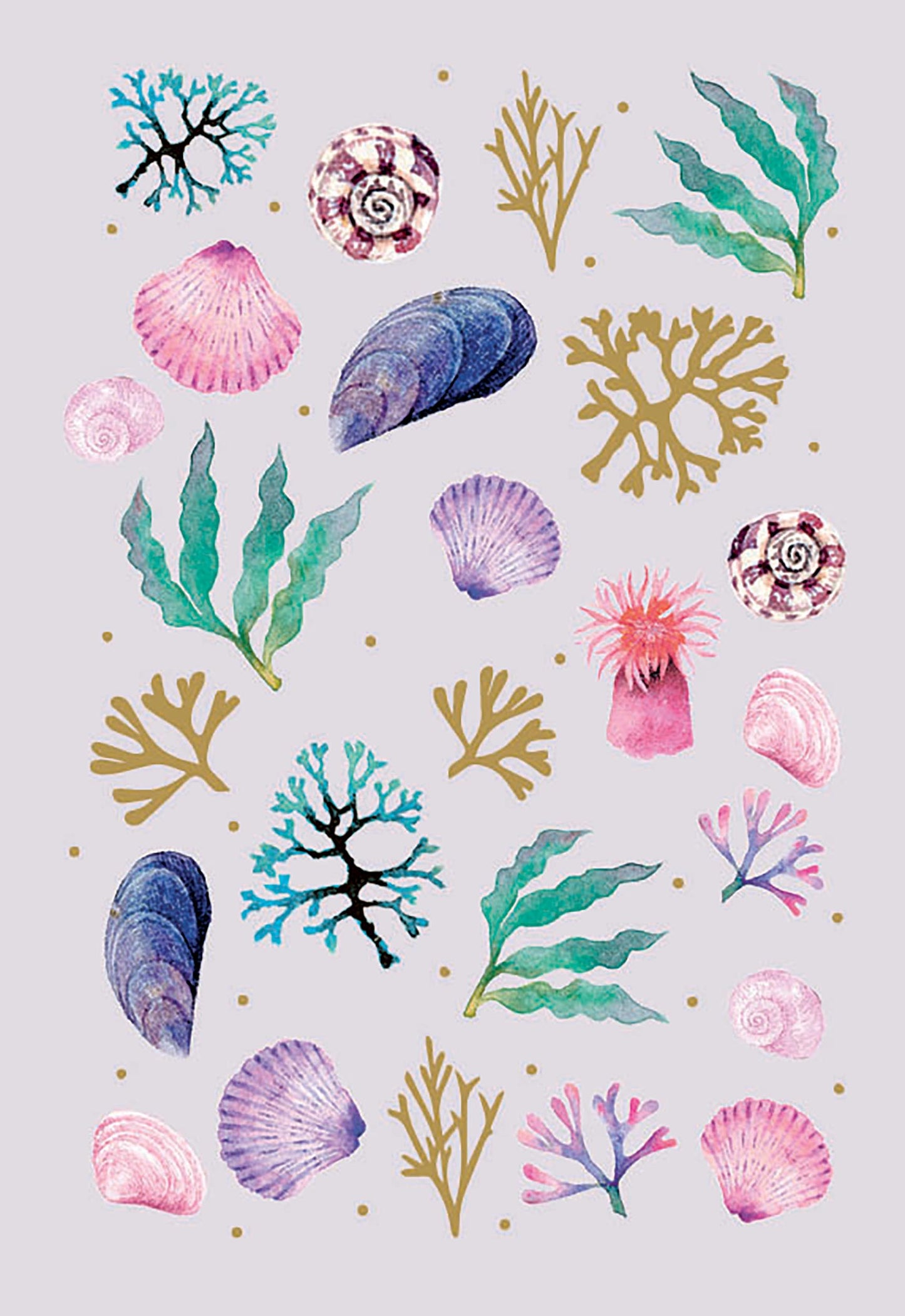 Meadow & Seashore Card Collection - Shells