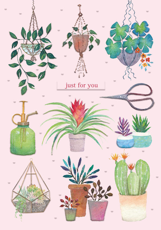 Meadow & Seashore Card Collection - Houseplants