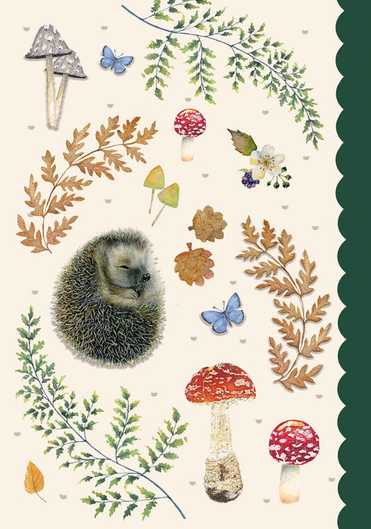 Meadow & Seashore Card Collection - Hedgehog & Toadstools