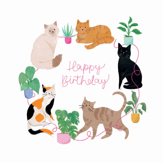 Party Animals Card Collection - Cats