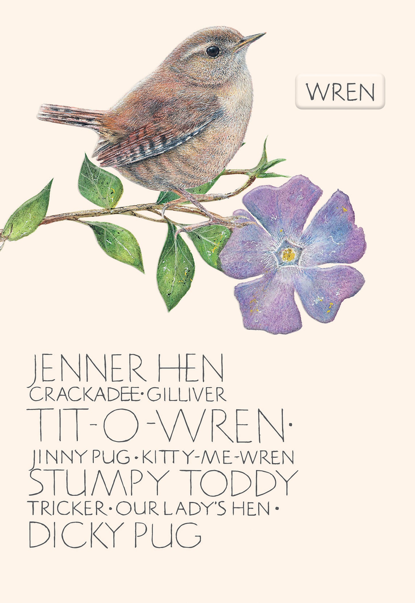 The Naming of a Bird Card Collection - Wren