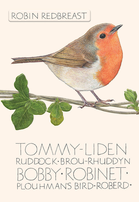 The Naming of a Bird Card Collection - Robin Redbreast