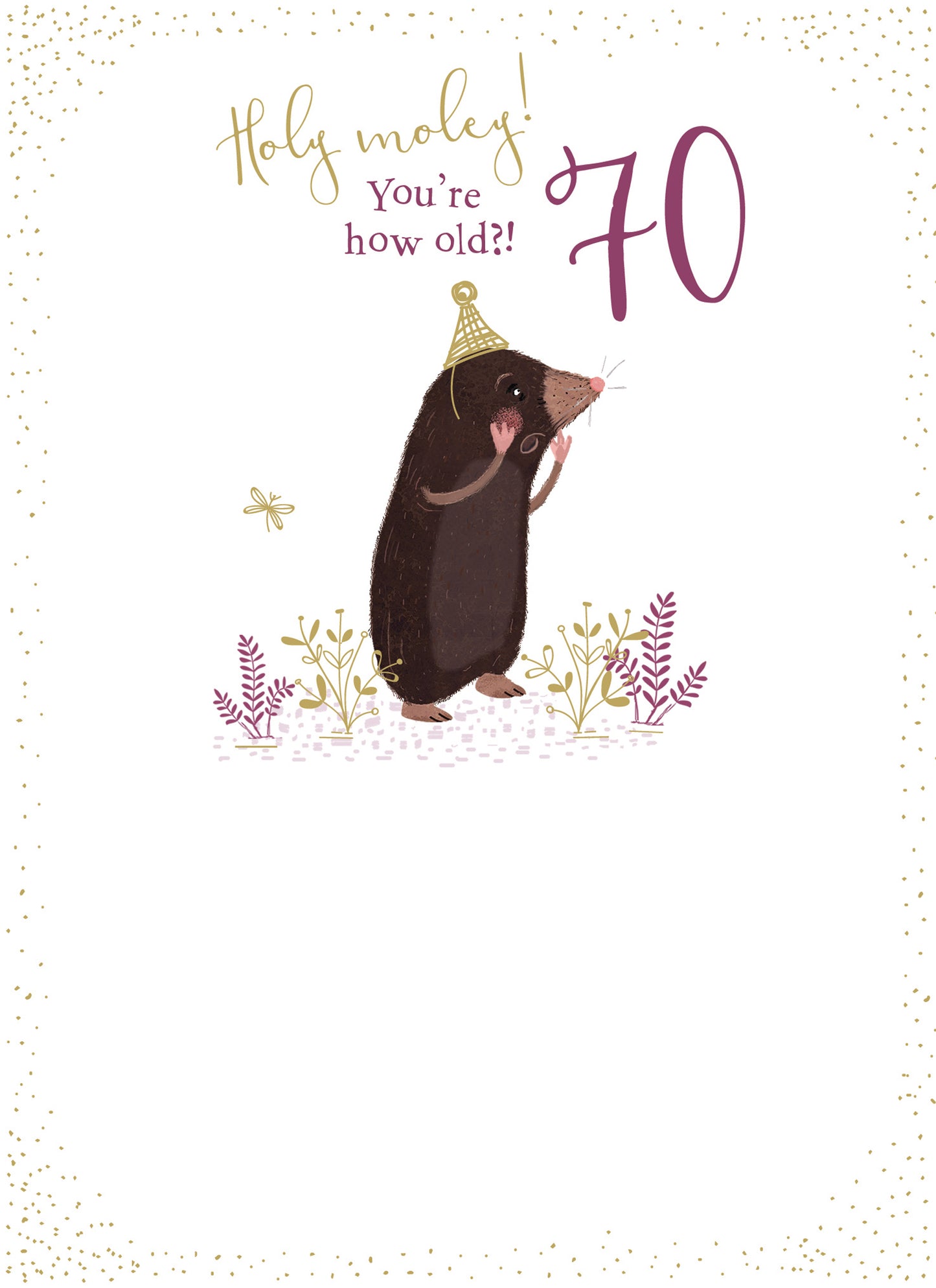 Age to Celebrate - 70 - Holy Moley