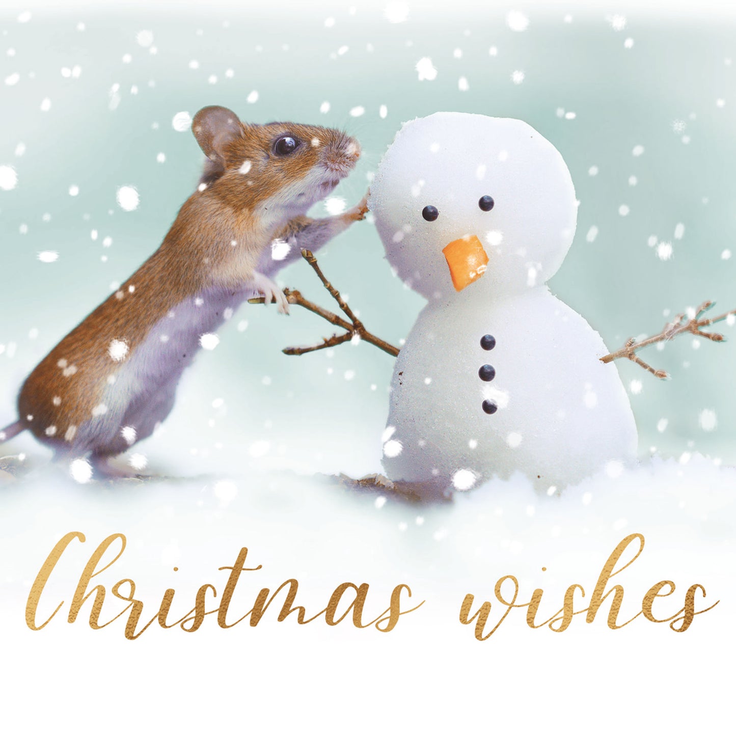 Charity Christmas Card Pack - Mouse & Friend