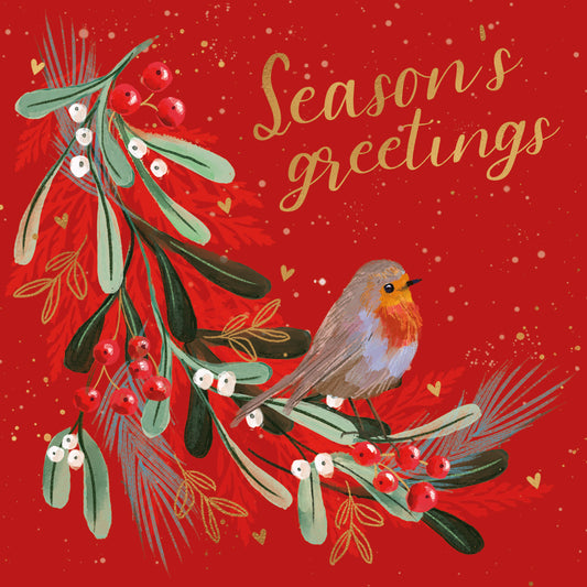 Charity Christmas Card Pack - Festive Berry Robin