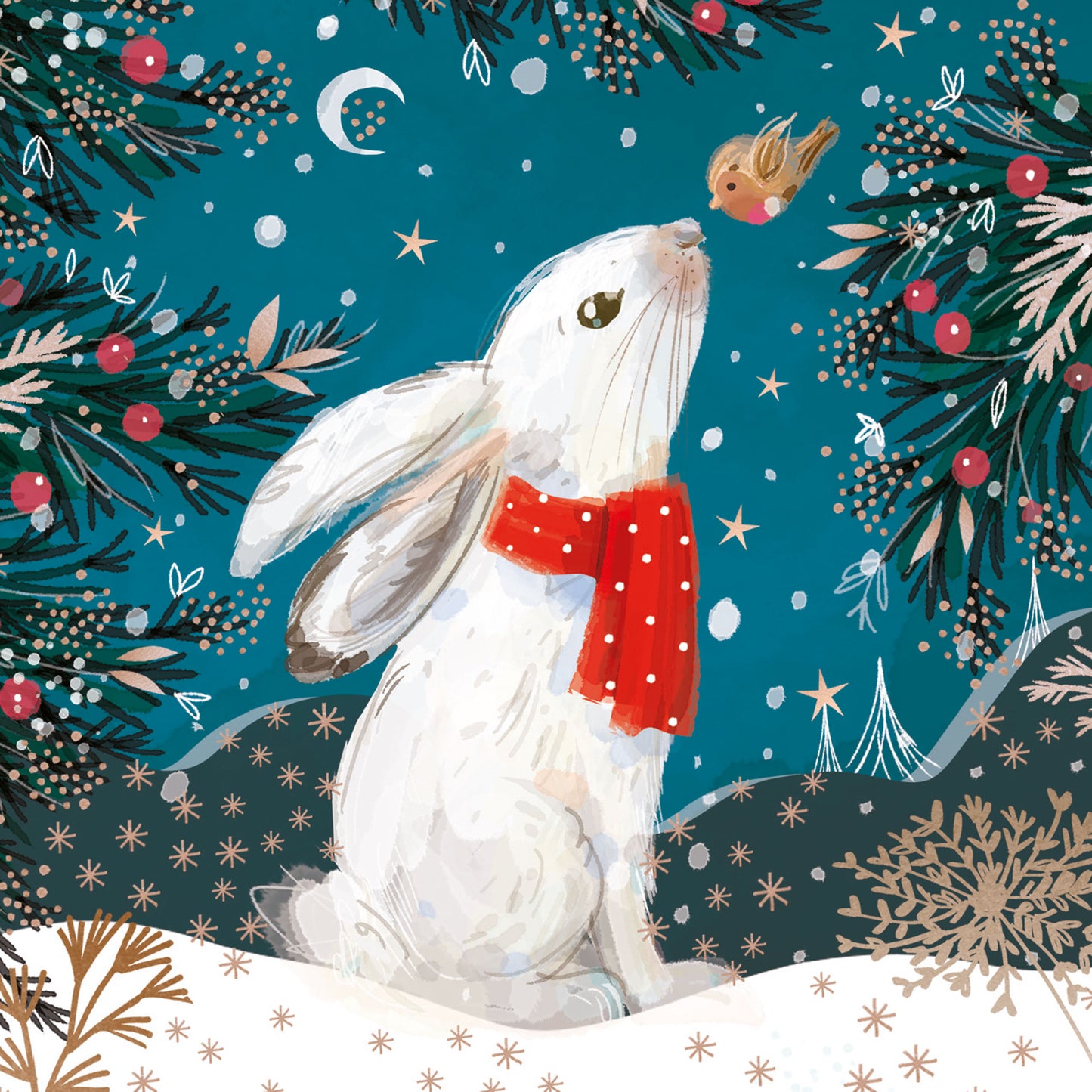 Charity Christmas Card Pack - Bunny & Robin