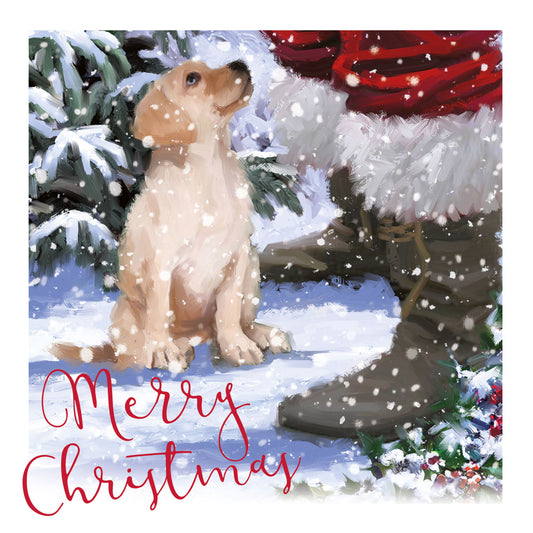 Charity Christmas Card Pack - My Friend Santa