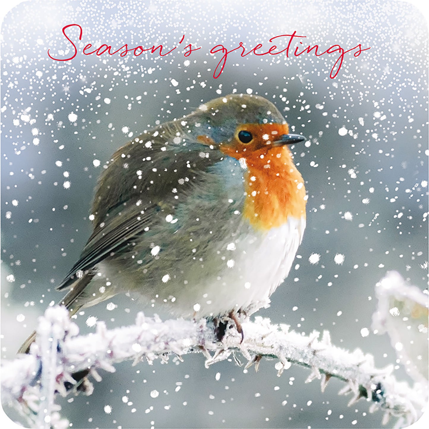 Luxury Charity Christmas Card Pack - Winter Friend