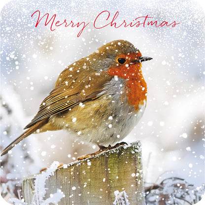 Luxury Charity Christmas Card Pack - Winter Friend