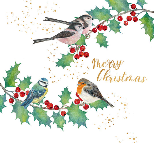 Luxury Charity Christmas Card Pack - Feathered Friends