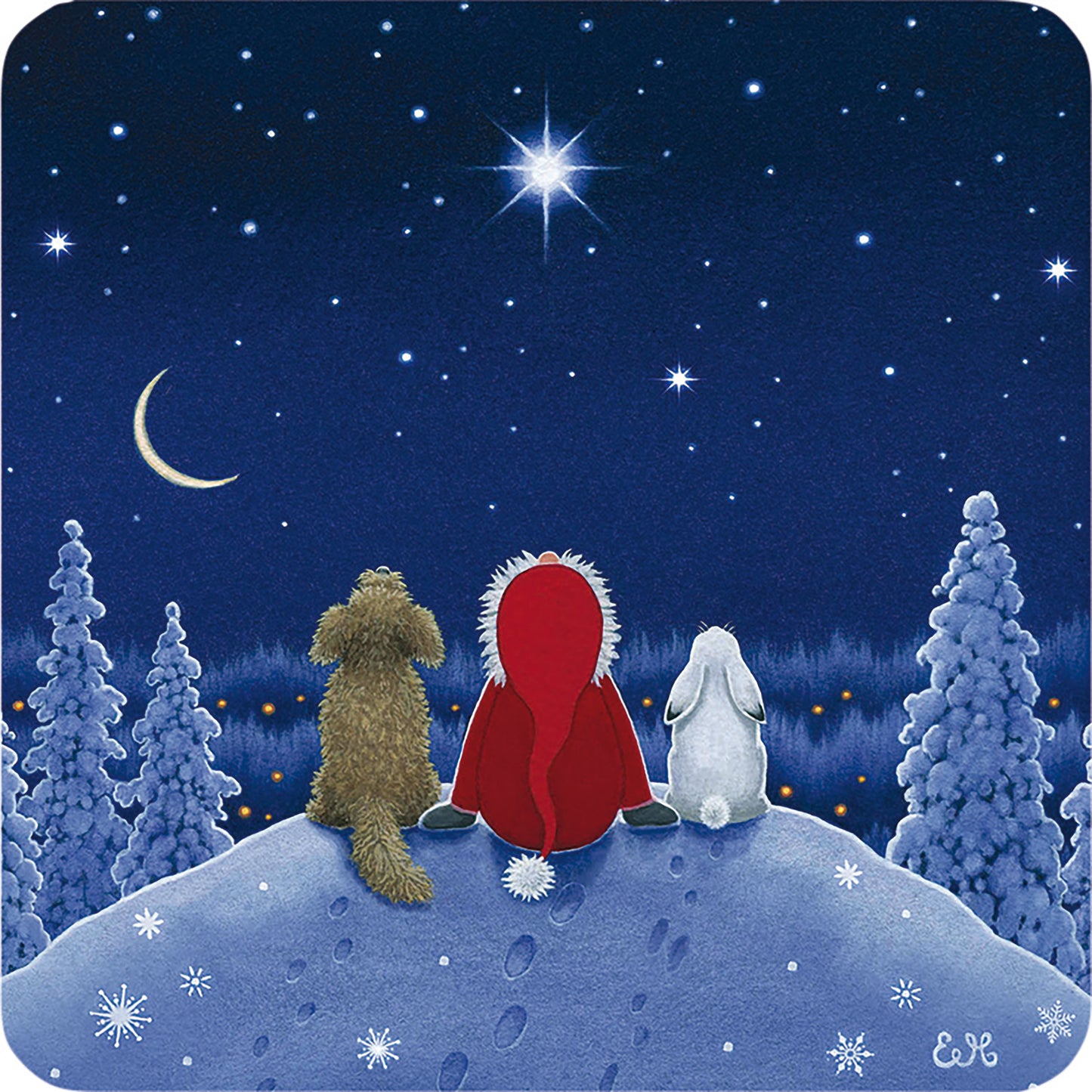 Luxury Charity Christmas Card Pack - Star Gazing