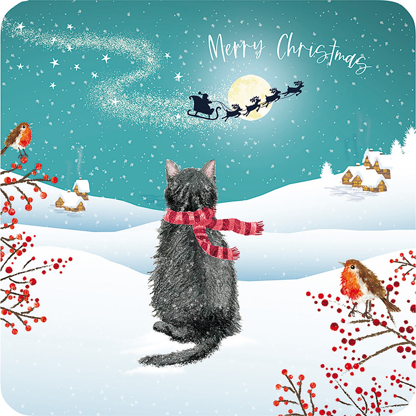 Luxury Charity Christmas Card Pack - Santa's Visit