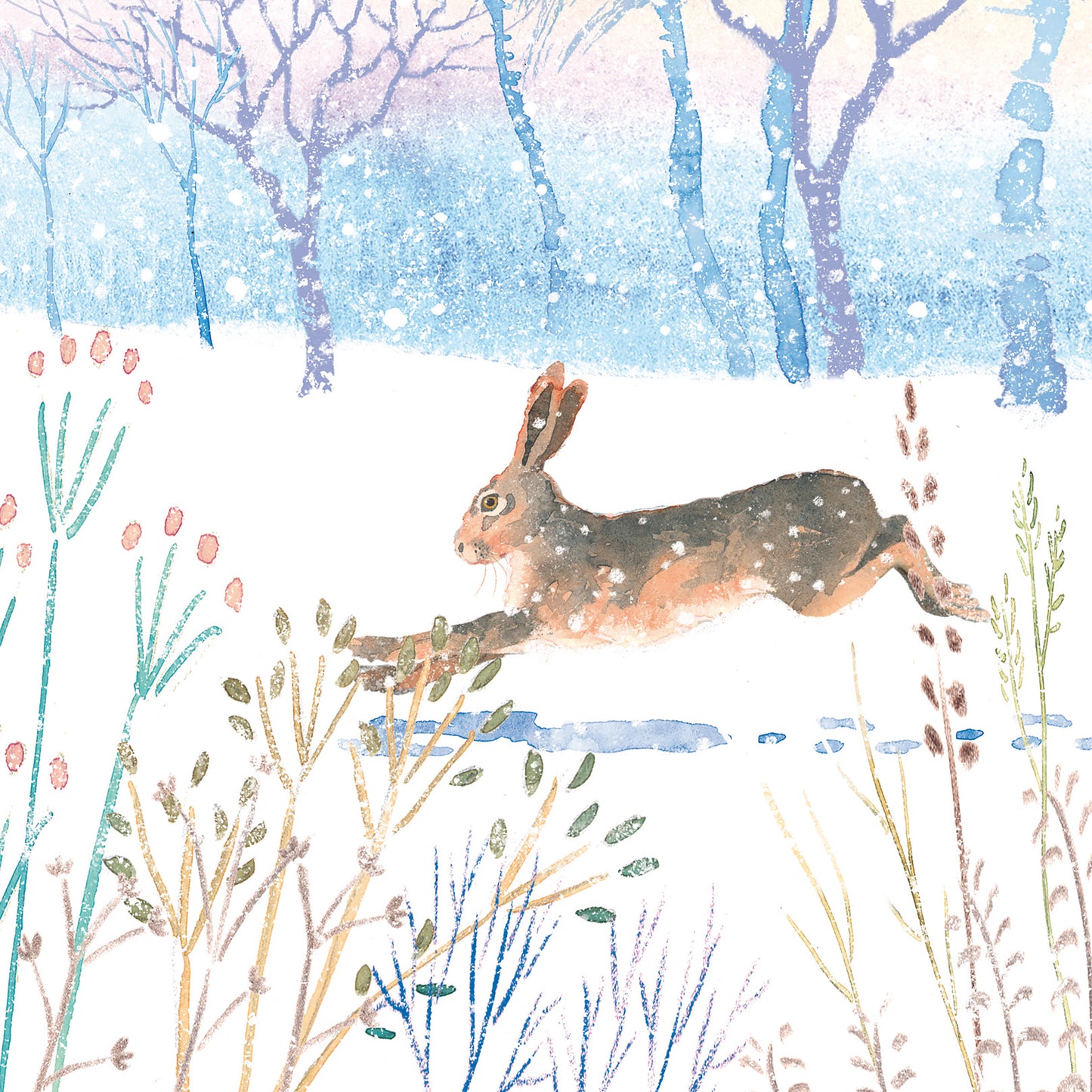 Assorted Christmas Cards - Wild Winter