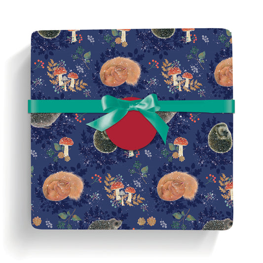 Christmas Wrap & Tags - Snug For Winter (10 Sheets & 10 Tags)