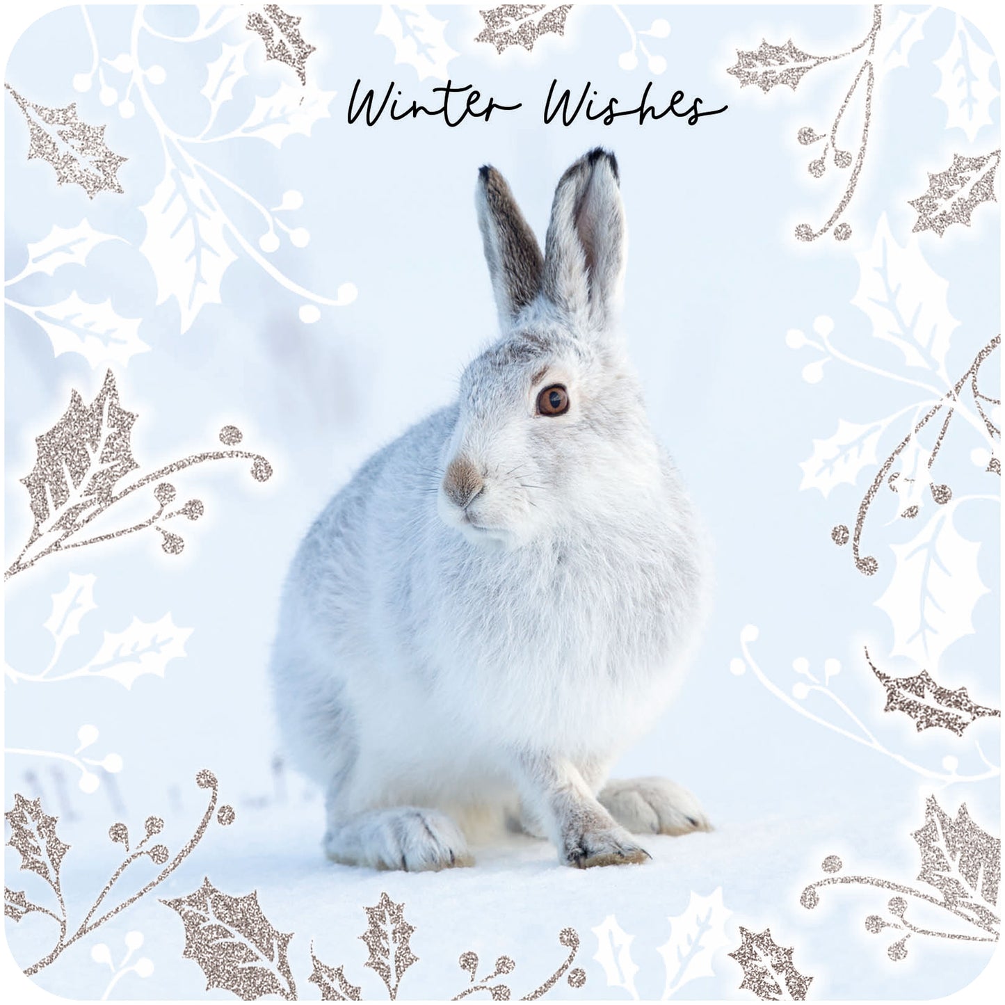 RSPB Luxury Christmas Cards (10 Cards) - Winter Hares