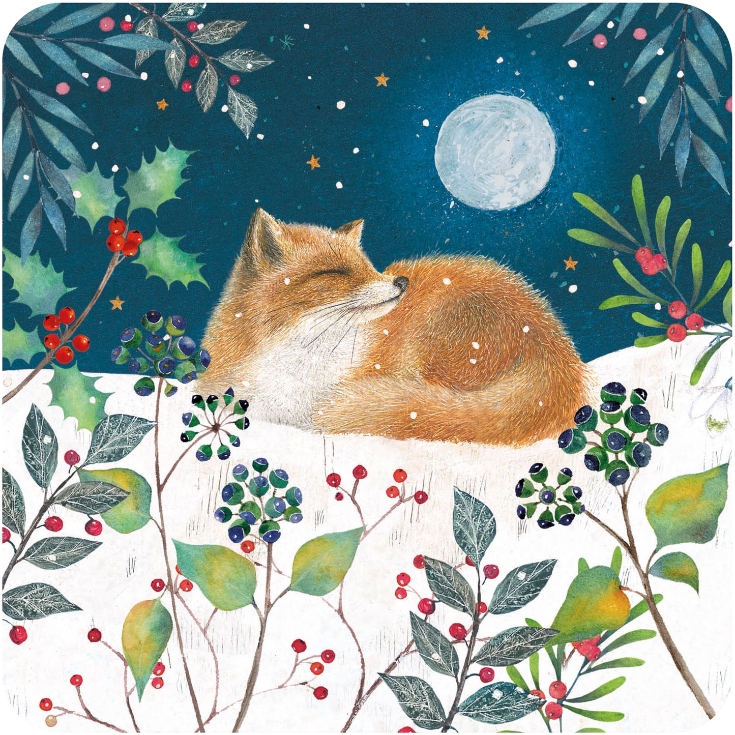 RSPB Luxury Christmas Cards (10 Cards) - Fox & Squirrel