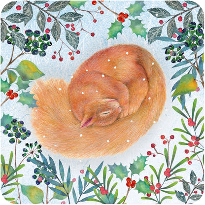 RSPB Luxury Christmas Cards (10 Cards) - Fox & Squirrel