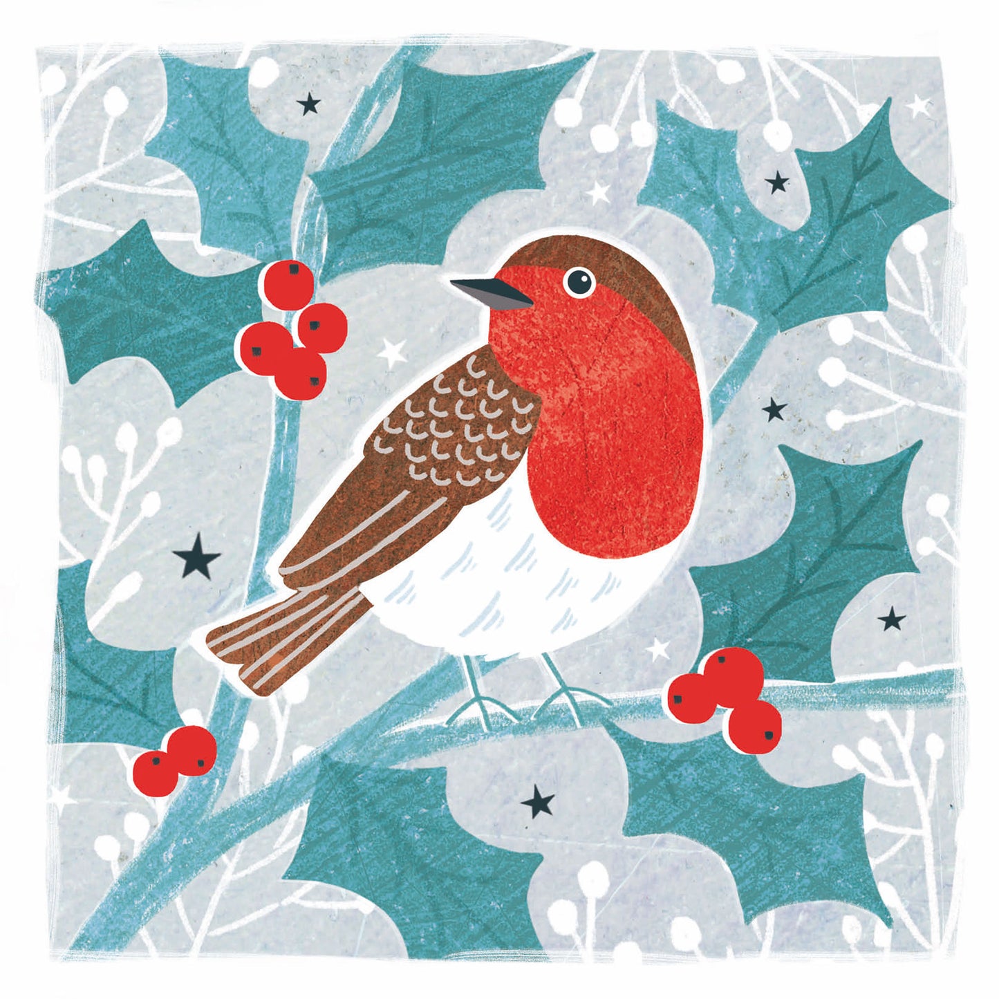 RSPB Luxury Christmas Cards (10 Cards) - Robins & Berries