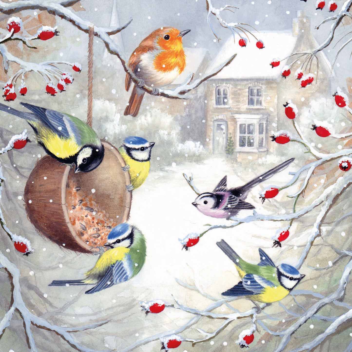 RSPB Luxury Christmas Cards (10 Cards) - Christmas Birdsong