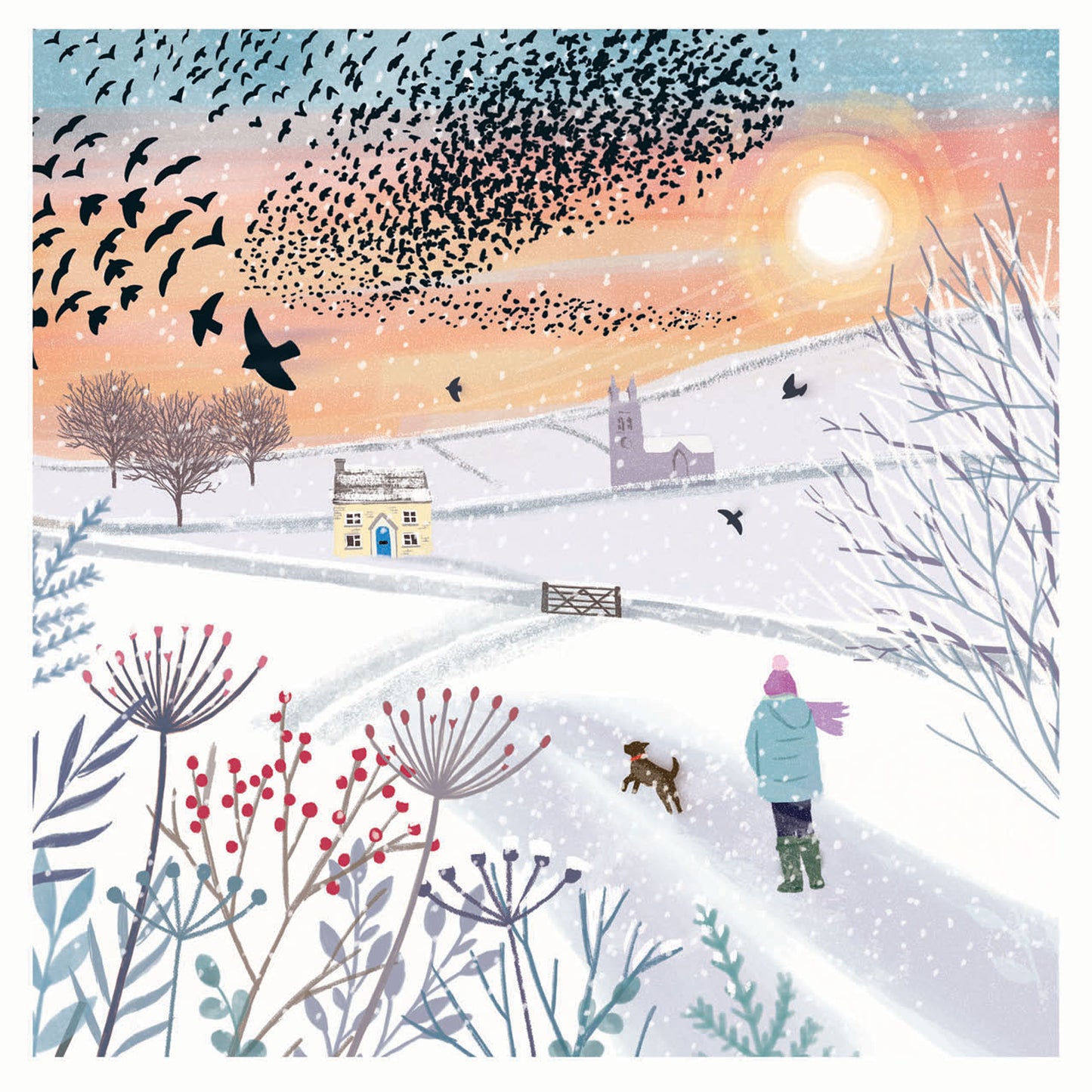 RSPB Small Square Christmas Cards (10 Cards) - Sunset Murmuration